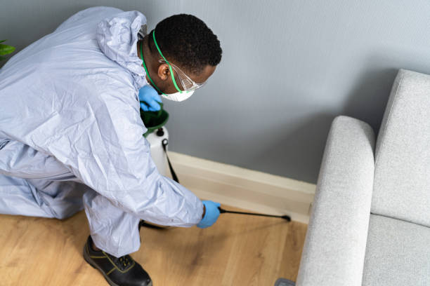 Best Termite Inspection and Treatment  in Diamond Bar, CA